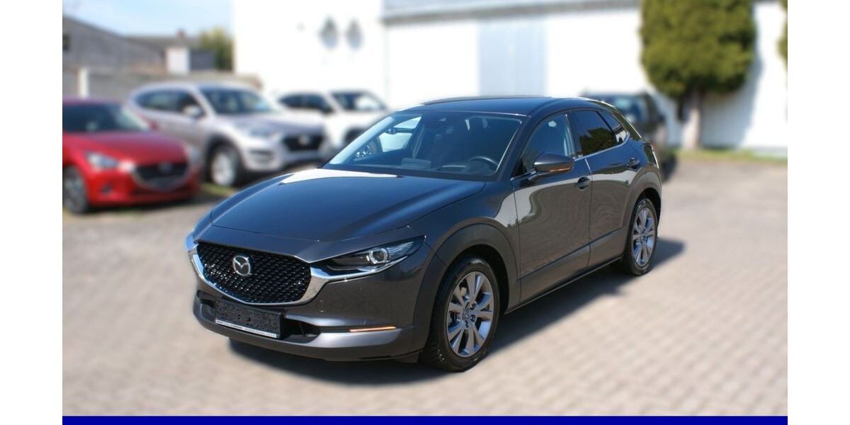 Mazda CX-30 19.916 km 24.990 &euro; Magdeburg 39116
