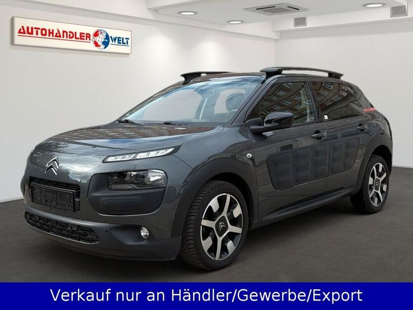 C4 Cactus