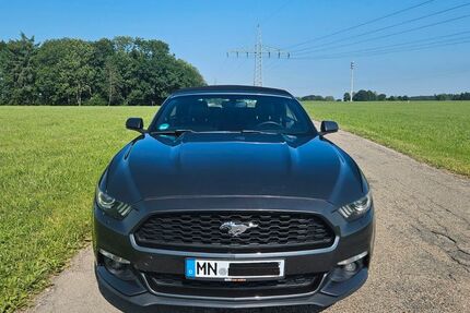 Ford Mustang 165.000 km 18.400 &euro; Ottobeuren 87724