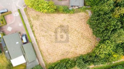 LETZTE BAULÜCKE AM WALDRAND