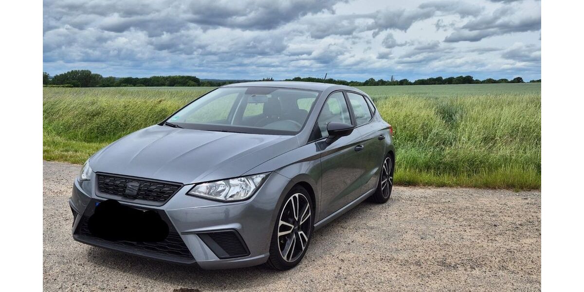Seat Ibiza 88.300 km 10.200 &euro; Cavertitz 04758