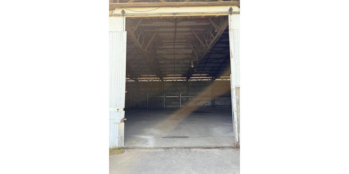 Gewerbeobjekt Borna - 800&euro; | Angebot:25078261