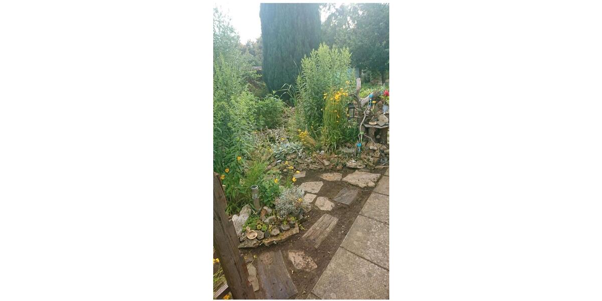 Grundstück Mühlhausen (Thüringen) - 3.200&euro; | Angebot:25578363