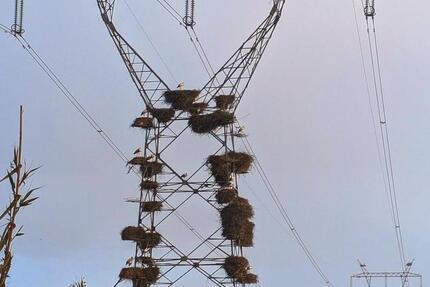 Reiheneckhaus in Nufringen 7 zimmer