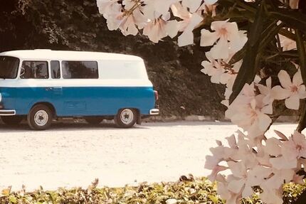 BARKAS B1000 102.270 km 10.000 &euro; Ballrechten-Dottingen 79282