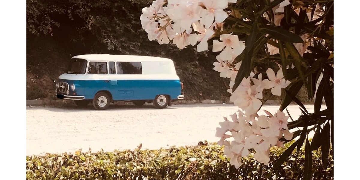 BARKAS B1000 102.270 km 10.000 &euro; Ballrechten-Dottingen 79282