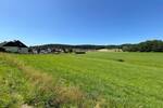 Grundstück Waidhaus - 100.000&euro; | Angebot:25697462