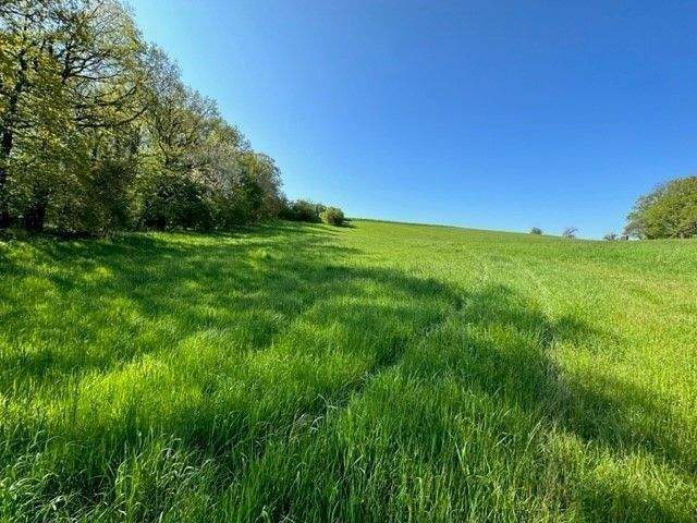 Grundstück Naumburg (Saale) Flemmingen - 79.675&euro; | Angebot:25818946