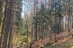 Grundstück Flossenbürg - 170.000&euro; | Angebot:26036735