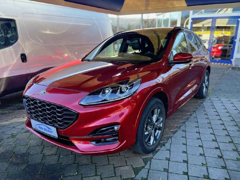 Kuga