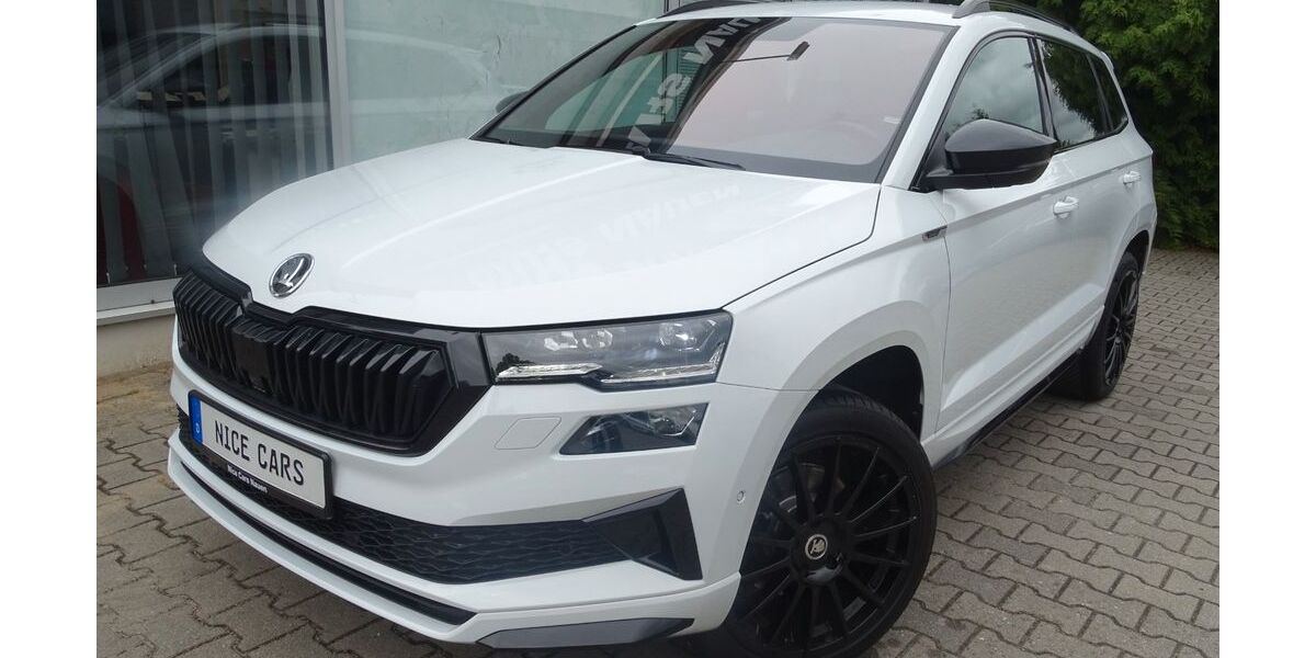 Skoda Karoq 39.684 km 30.990 &euro; Nauen 14641