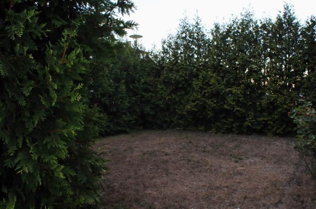 EFH mit großem Grundstück bei Darmstadt 7 zimmer