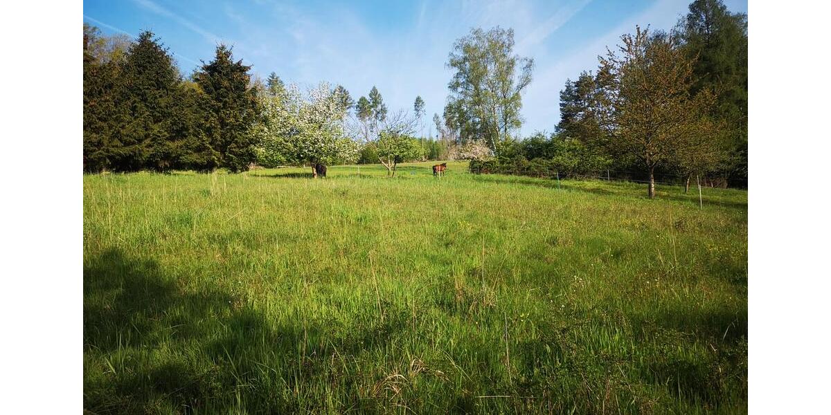 Etagenwohnung Wächtersbach - 4 Zimmer, 95 m&sup2;, 880&euro; | Angebot:26336184
