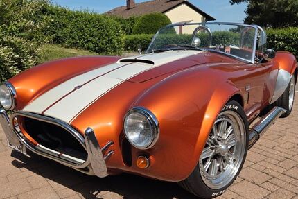 Cobra Andere 42.000 km 41.000 &euro; Lottstetten 79807