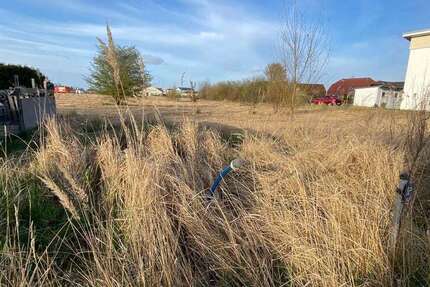 Grundstück Roggentin - 100.000&euro; | Angebot:25193003