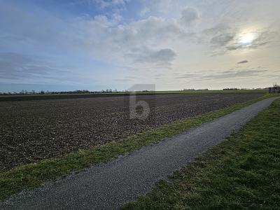 RUHIGER RÜCKZUGSORT AUF DER SONNENINSEL - Grundstück Fehmarn | Angebot:26319838
