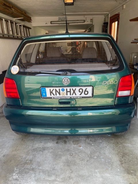 Polo