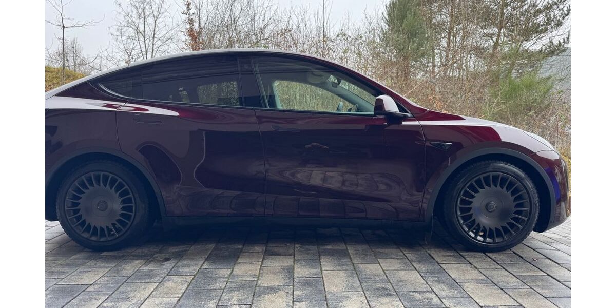 Tesla Model Y 57.784 km 38.999 &euro; Bruchweiler-Bärenbach 76891