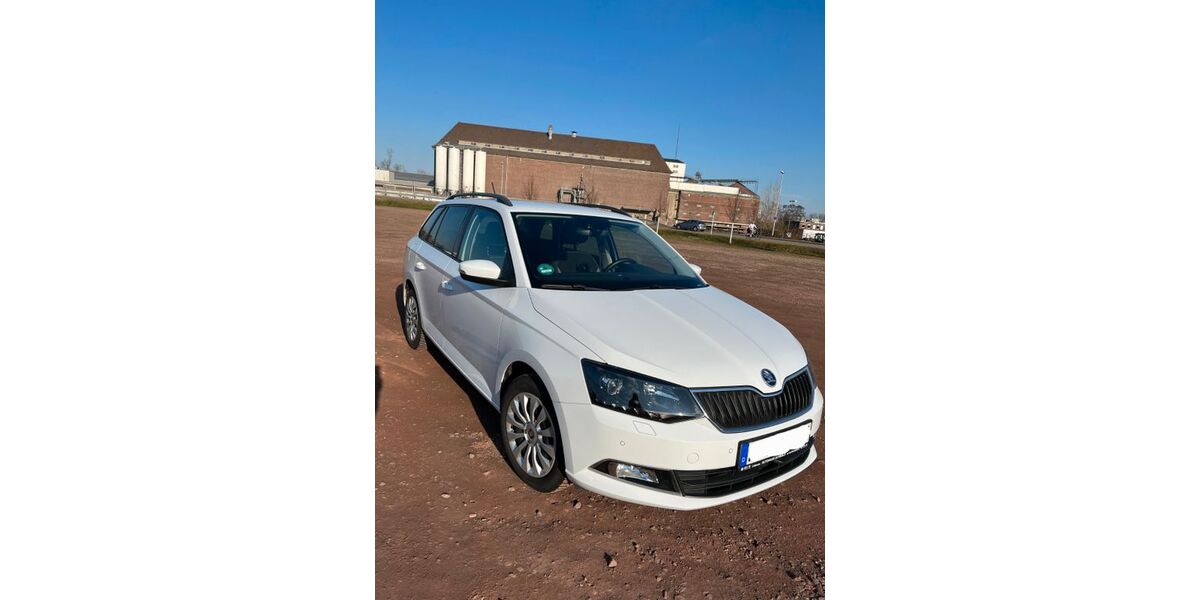 Skoda Fabia 136.000 km 9.300 &euro; Lembruch 49459