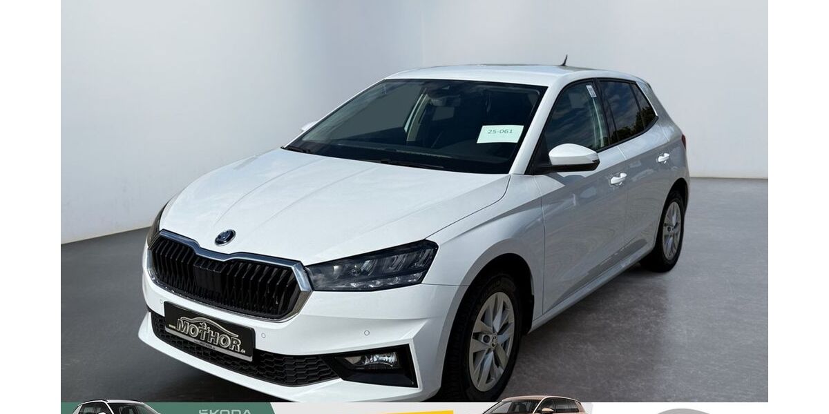Skoda Fabia 66.530 km 14.479 &euro; Brandenburg 14770