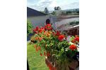 Bungalow Blankenheim - 5 Zimmer, 125 m&sup2;, 260.000&euro; | Angebot:26720821