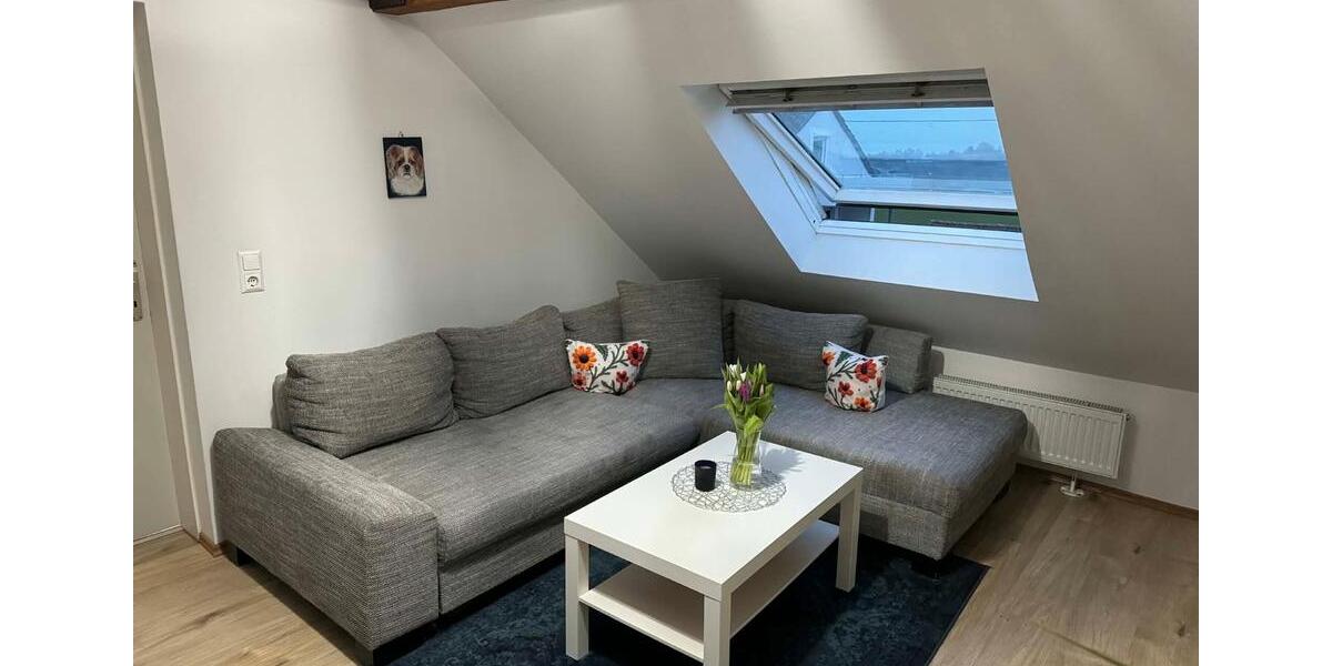 Dachgeschoßwohnung Langenau - 2 Zimmer, 50 m&sup2;, 550&euro; | Angebot:26321297