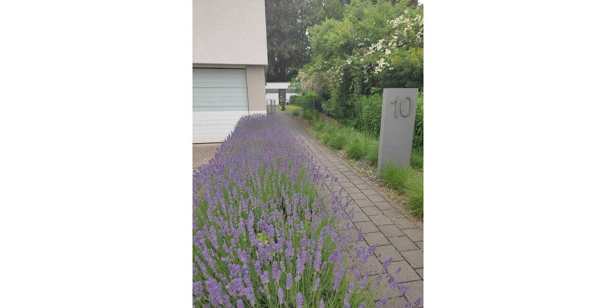 Etagenwohnung Kleve Materborn - 3 Zimmer, 80 m&sup2;, 284.000&euro; | Angebot:26859121
