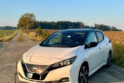 Nissan Leaf 53.500 km 12.980 &euro; Treuen 08233