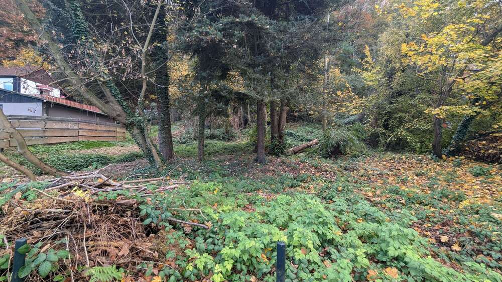 Grundstück Pirna - 79.000&euro; | Angebot:18215244
