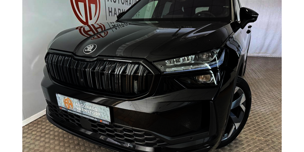 Skoda Kodiaq 1.060 km 43.975 &euro; Harmstorf/Hamburg 21228