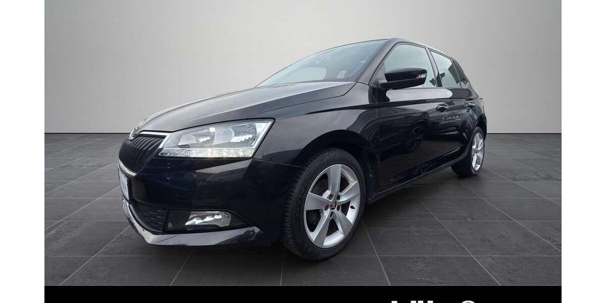 Skoda Fabia 61.900 km 12.390 &euro; Worms 67547