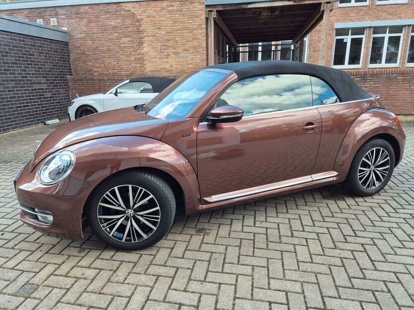 Beetle