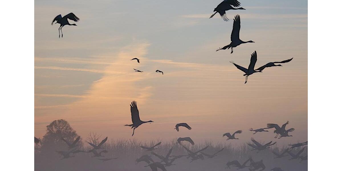 Einfamilienhaus Ducherow - 5 Zimmer, 190 m&sup2;, 135.000&euro; | Angebot:26291554