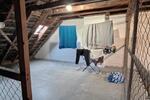 Etagenwohnung Kiel Schreventeich - 1 Zimmer, 30 m&sup2;, 149.000&euro; | Angebot:26365485