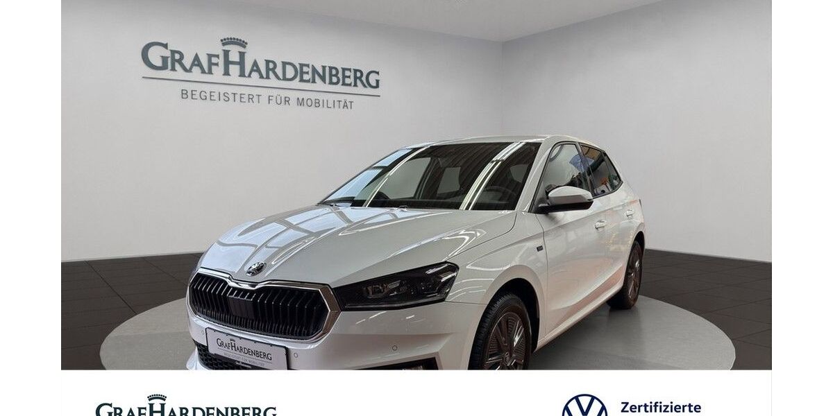 Skoda Fabia 20.400 km 20.555 &euro; Offenburg 77652