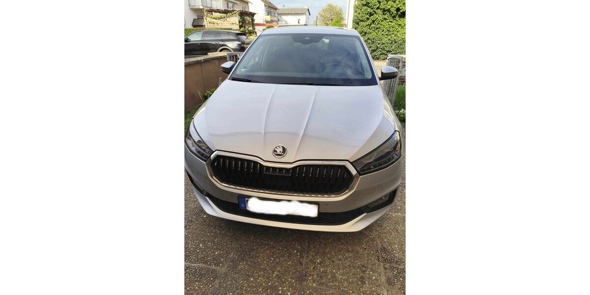 Skoda Fabia 24.450 km 17.900 &euro; Trebur 65468