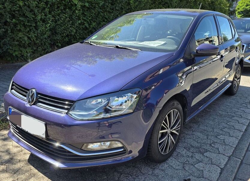 Polo