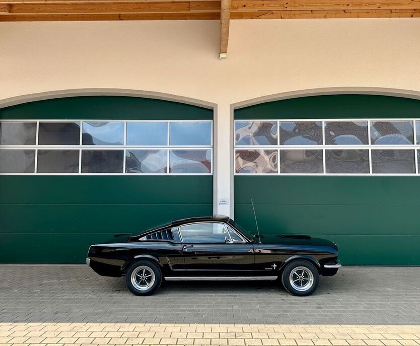 Mustang