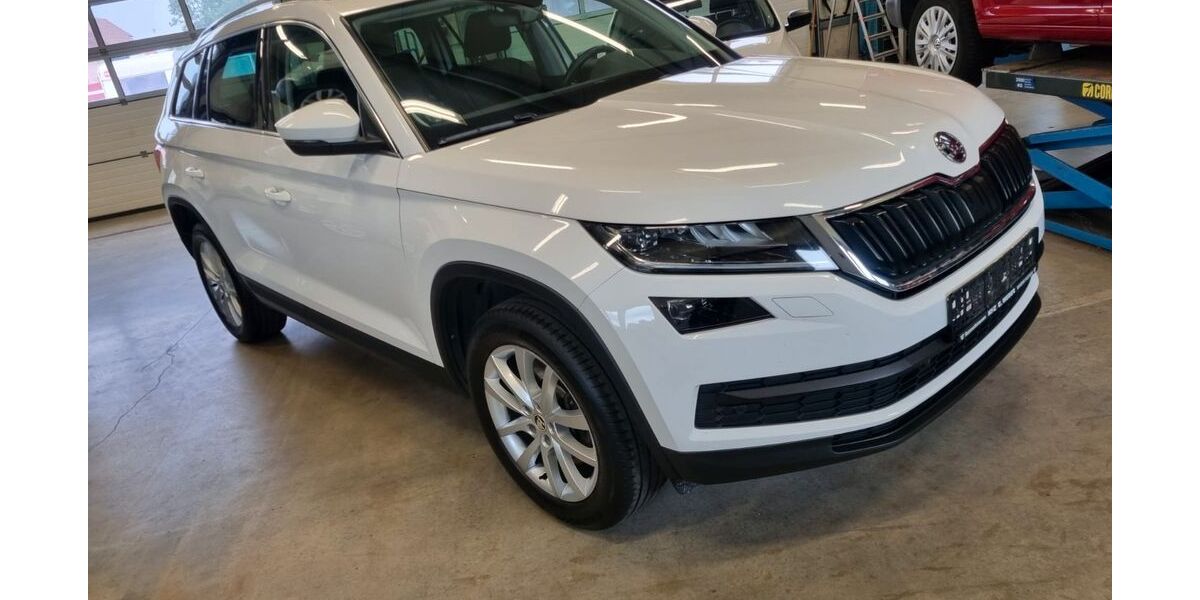 Skoda Kodiaq 260.100 km 17.700 &euro; Rummeltshausen 87784
