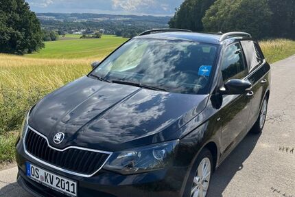 Skoda Fabia 142.287 km 8.990 € Osnabrück 49086