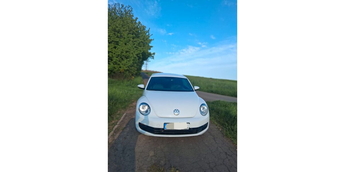 VW Beetle 163.153 km 8.950 &euro; Schmelz 66839