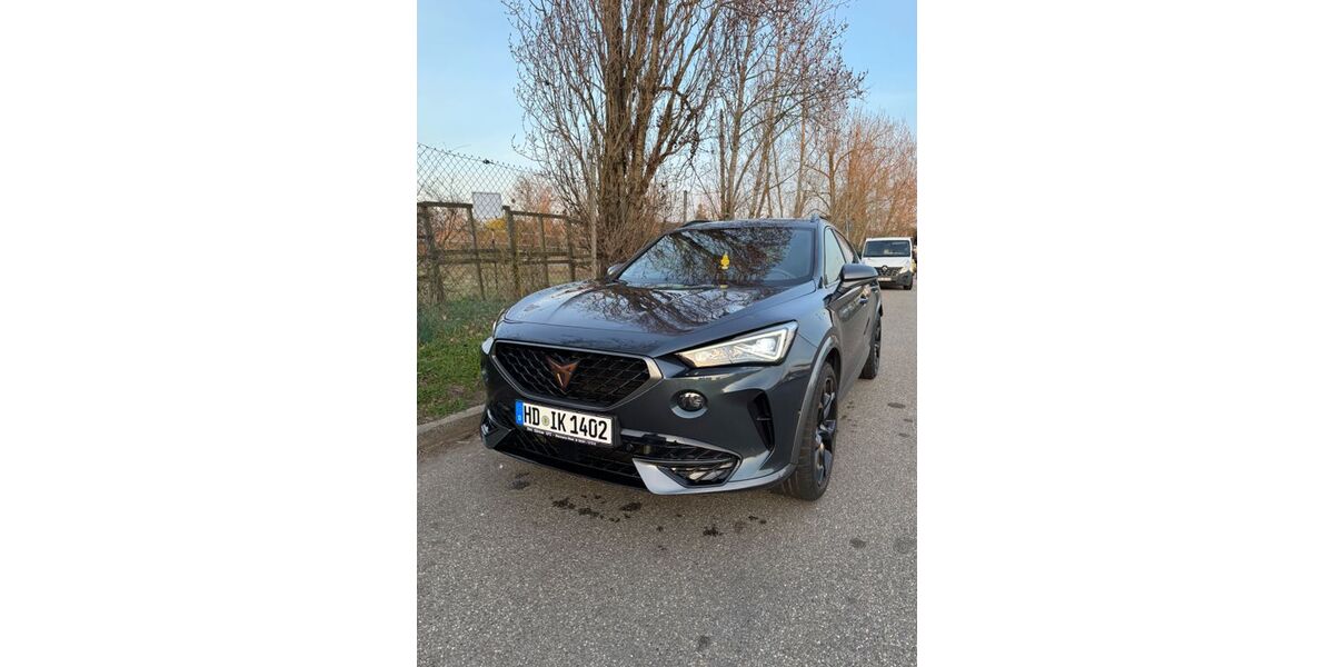 Cupra Formentor 94.175 km 28.500 &euro; Reilingen 68799