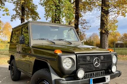 Mercedes-Benz G 290 275.000 km 37.000 &euro; Stadtroda 07646
