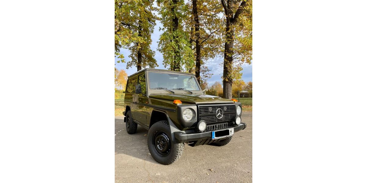 Mercedes-Benz G 290 275.000 km 37.000 &euro; Stadtroda 07646
