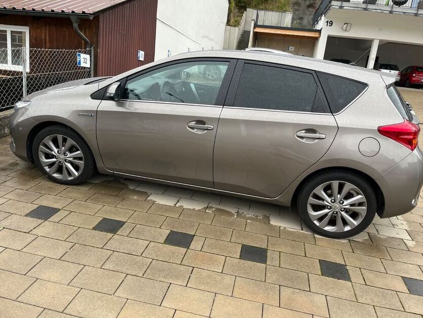 Auris