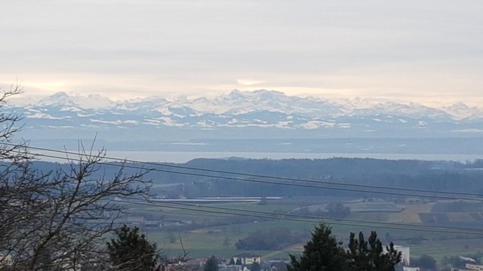 3Zi. Penthouse Wohnung mit traumhaftem See-Bergblick in Markdorf 3 zimmer