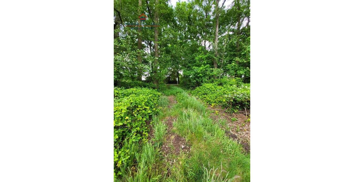 Grundstück Friesoythe - 420.000&euro; | Angebot:19599712