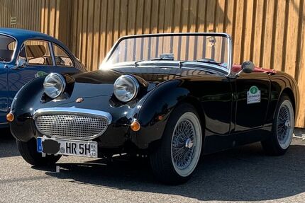 Austin Healey Andere