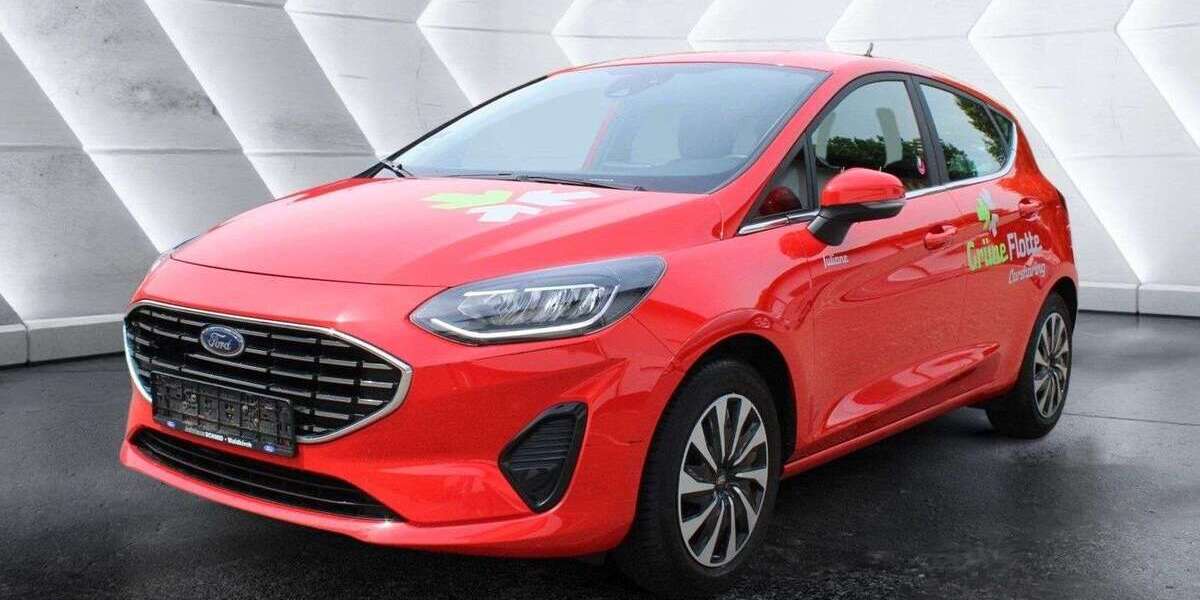 Ford Fiesta 87.900 km 8.900 &euro; Waldkirch 79183