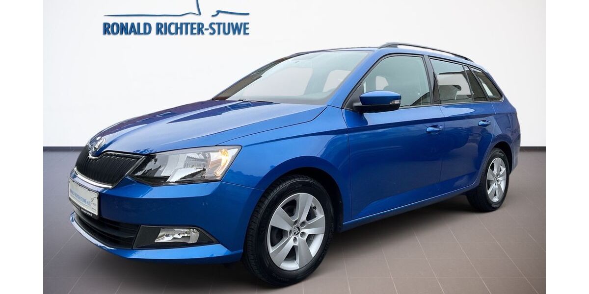 Skoda Fabia 85.895 km 8.750 &euro; Hamburg 22087
